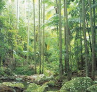 Python Rock - Redcliffe Tourism
