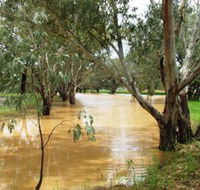 Saddliers Waterhole and Hamburg Creek - Redcliffe Tourism