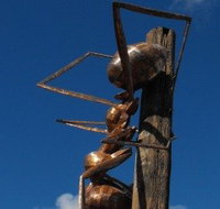 Augathella Meat Ant Park and Sculpture - Redcliffe Tourism