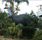 The Big Cassowary - Redcliffe Tourism
