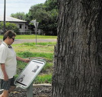 Augathella Kenniff Tree - Redcliffe Tourism