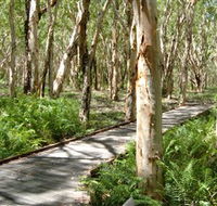 The Kommo Toera Trail - Redcliffe Tourism
