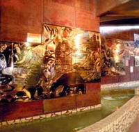Riversleigh Fossil Centre - Redcliffe Tourism