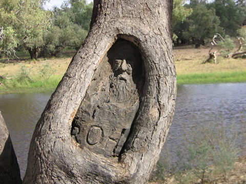 Burke And Wills Dig Tree - Redcliffe Tourism 3