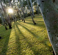 Tondoon Botanic Gardens - Redcliffe Tourism