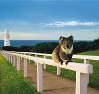 Cape Otway Lightstation - Redcliffe Tourism