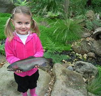 Wild Food Farm  Cafe - Redcliffe Tourism