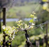 Downing Estate - Redcliffe Tourism