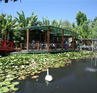 Blue Lotus Water Garden - Redcliffe Tourism