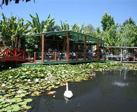 Blue Lotus Water Garden - Redcliffe Tourism 0