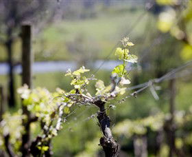 Booth's Taminick Cellars - Redcliffe Tourism 0