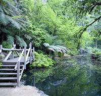 Alfred Nicholas Gardens - Redcliffe Tourism