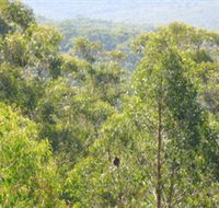 Bunyip State Park - Redcliffe Tourism