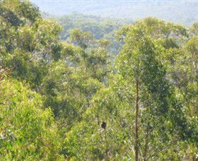 Bunyip State Park - Redcliffe Tourism 0