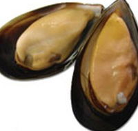 Sea Bounty - Redcliffe Tourism