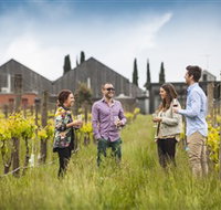 Willow Creek Vineyard - Redcliffe Tourism