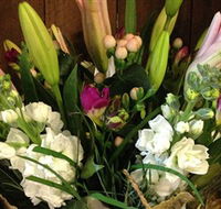 Alpine Blooms Florist Mansfield - Redcliffe Tourism