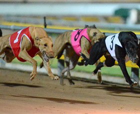 The Beckley Centre - Redcliffe Tourism 0