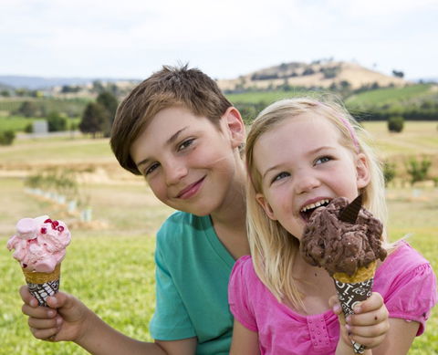 Yarra Valley Chocolaterie & Ice Creamery - Redcliffe Tourism 6
