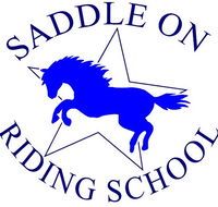 Saddle On Riding School - Redcliffe Tourism