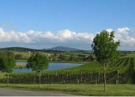 Yarrawood Estate - Redcliffe Tourism 0