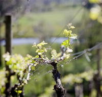 Coldstream Hills - Redcliffe Tourism