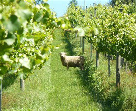 Passing Clouds - Redcliffe Tourism 0