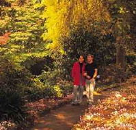George Tindale Memorial Gardens - Redcliffe Tourism