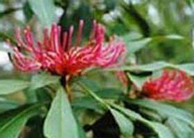 Alfred National Park - Redcliffe Tourism 0