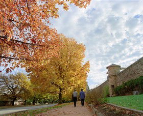 Beechworth Historic And Cultural Precinct - Redcliffe Tourism 0