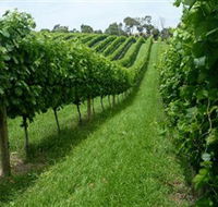 The Cups Estate - Redcliffe Tourism