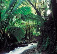 Melba Gully - Redcliffe Tourism
