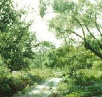 Holey Plains State Park - Redcliffe Tourism