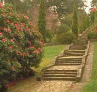Maroondah Reservoir Park - Redcliffe Tourism
