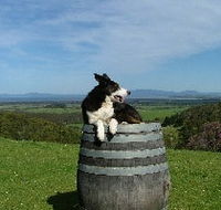 Windy Ridge Vineyard and Winery - Redcliffe Tourism