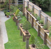 Bonsai Island - Redcliffe Tourism