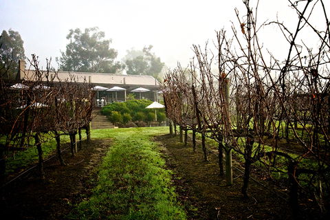 GREENSTONE VINEYARDS - Redcliffe Tourism 4