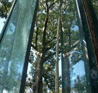 Sydney Sculpture Walk - Redcliffe Tourism