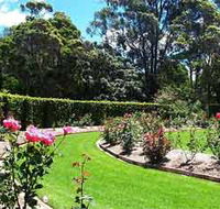 Wollongong Botanic Garden - Redcliffe Tourism