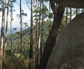 Gulaga National Park - Redcliffe Tourism 0
