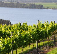 Two Figs Winery - Redcliffe Tourism