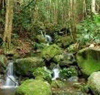 Budderoo National Park - Redcliffe Tourism