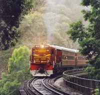 Cockatoo Run - Scenic Tour Train operated by 3801 Limited - Redcliffe Tourism