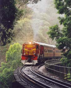 Cockatoo Run - Scenic Tour Train Operated By 3801 Limited - Redcliffe Tourism 0
