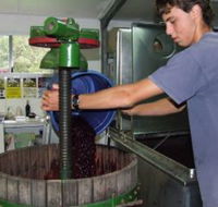 Fern Gully Winery - Redcliffe Tourism