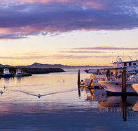 Bermagui Fishermens Wharf - Redcliffe Tourism