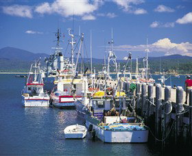 Eden NSW Redcliffe Tourism