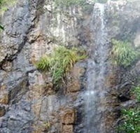 Wedding Bells Forest Drive - Redcliffe Tourism
