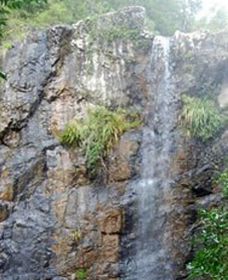 Wedding Bells Forest Drive - Redcliffe Tourism 0