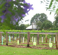 Douglas Vale Historic Homestead  Vineyard - Redcliffe Tourism